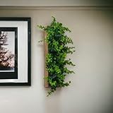 Litleo Arificial Plant for Wall/Table,Shelf with Wooden Pot with Adhesive Tape for Decoration, Gift (Green)