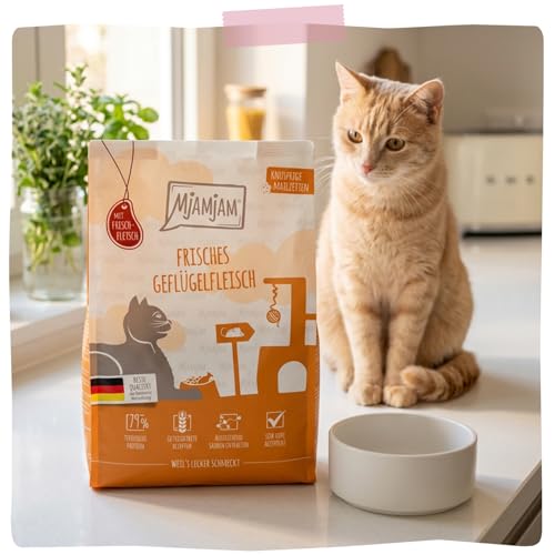 MjAMjAM- Premium Trockenfutter für Katzen- Knusprige Mahlzeiten- Kitten- Frisches Geflügelfleisch, 1er Pack (1x300g), getreidefrei-6