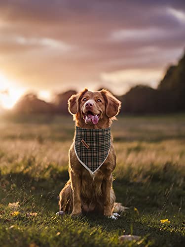 Lionheart Glory Plaid Dog Bandana 1 Pack Washable Soft Cotton Bibs Scarf, Adjustable Kerchief Square Dog Bandanas For Large Dogs #TOP4