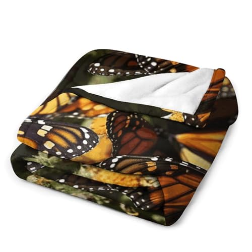 Couverture flanelle papillons légère et confortable pour grands frissoneurs - 4