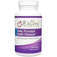 Wellness Resources Daily Prenatal Multi Vitamin - Methylated Folate Zinc Iron Bisglycinate Choline & Key Nutrients - Natural Prenatal Postnatal Postpartum Vitamins for Women - 120 Caps