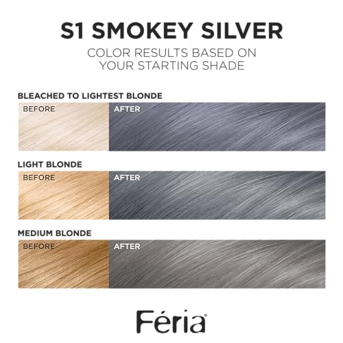 L’Oréal Paris 71249383216 L'Oreal Paris Feria Multi-Faceted Shimmering Permanent Hair Color, Smokey Silver thumb #1