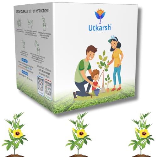 Utkarsh Okra Seed Starter DIY Grow Kit for Gifting | Best Eco-Friendly Return Gift Ideas for Kids & Beginners | Easy to Grow it Yourself Gardening Set for Home & Kitchen Garden | Pack of 1