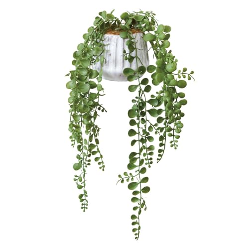 G} ir[ |bgS CeAO[ yy~A