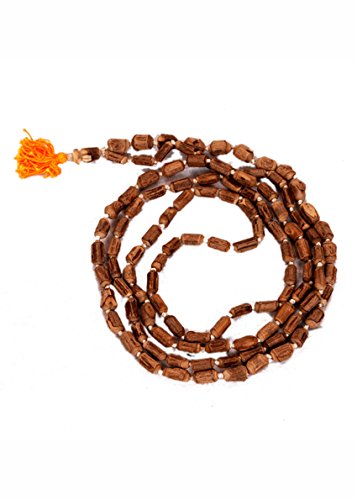 Japa Mala de Tulsi cuentas medianas collar budista Aashita Creations para mantra