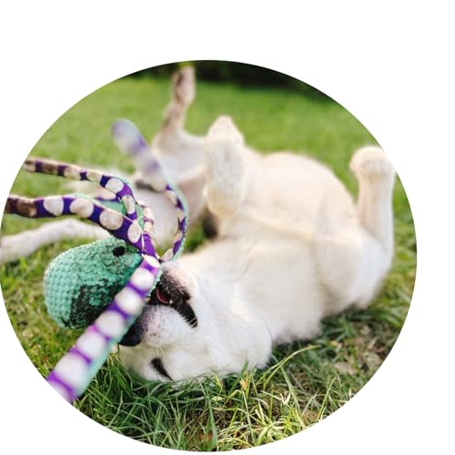 Juguetes sonoros para perro paquete x2 miniatura 4