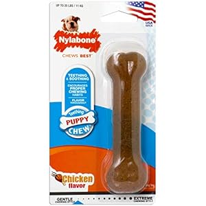 Nylabone Puppy Bone Flexibles Kauspielzeug Regular
