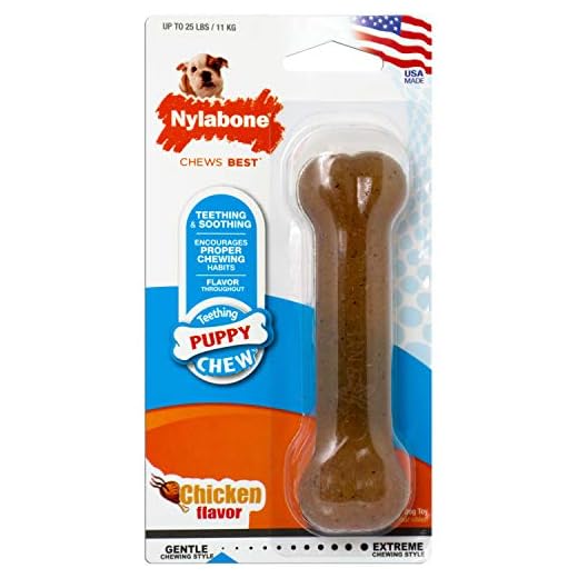 Nylabone Brinquedo de morder para filhotes, sabor de frango pequeno/regular – até 11 kg.