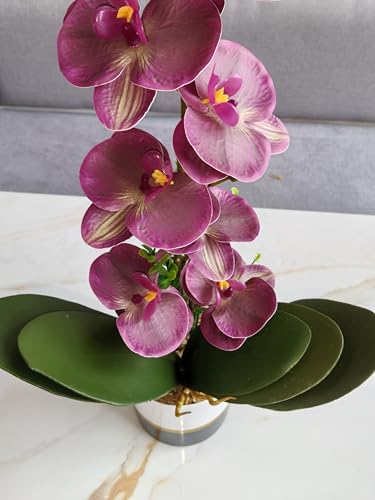 Orquídea artificial de silicona Phalaenopsis que no se marchita nunca 7