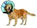Calm Paws 27882 Dog Caring Collar with Calming, Medium