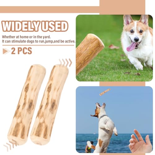 MOLZINY 2 Stück Kaffeeholz Kauholz Kauspielzeug Hund Hundespielzeug Kauen Stifte Kauen Kauknochen aus Kaffeeholz für Welpen für Kleine und Mittlere Hunde