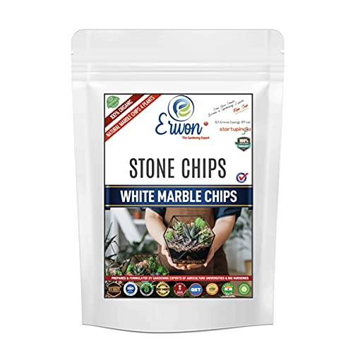 Erwon® Stone Chips, White Marble Chips, Premium Marble small stone for Plants (400 gm) (B09GXBN8J3) Amazon Price History, Amazon Price Tracker