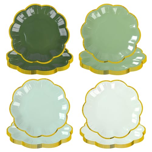 AimFun Sage Green Party Plates Gradient Green...