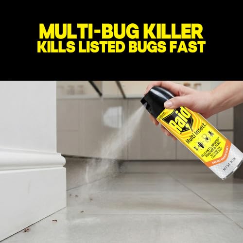 Image of Raid Multi Insect Killer, Orange Breeze Scent, Kills Ants, Roaches, Spiders and Other Insects on Contact for Indoor and Outdoor Use - 15 Oz