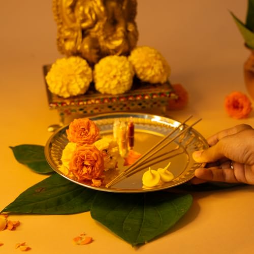 Image of PrettyKrafts Pooja Thali Big Size | 8.2 inch Brass Plate for Puja | Golden Thali for Pooja Plate | Puja Ki Thali | Elegant Pooja Thali Brass for Home & Festivals
