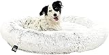 One PETS-TOP