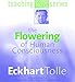 The Flowering of Human Consciousness