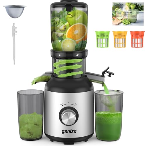 Ganiza Cold Press Juicer
