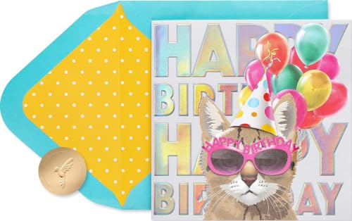 Papyrus Cat Birthday Card (One Cool Cat)