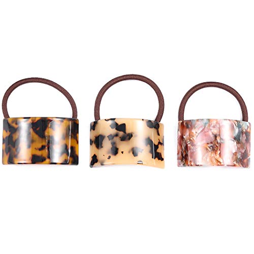 Briskaari Hair Ties Tortoiseshell Elastic Hair Ropes Hair Rings Ponytail Holders Hair Accessories for Women and Girls (Pack of 2)