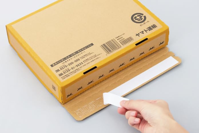 Amazon.co.jp: 【10枚セット｜箱型】宅急便コンパクト (200×250×50mm
