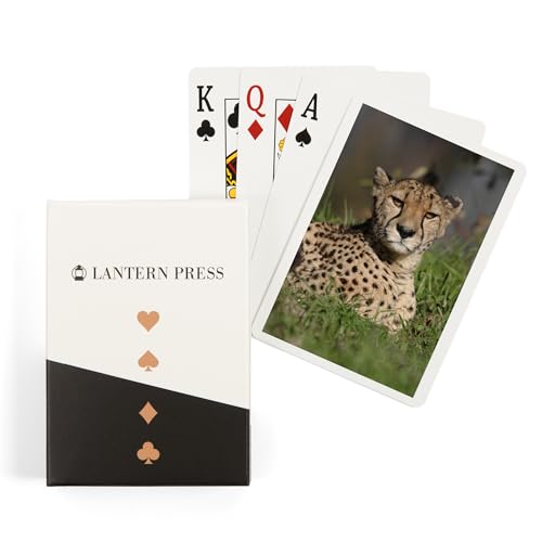 Lantern Press Cheetah in Grass, baraja de 52 cartas póker
