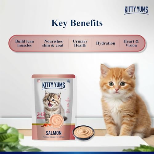Image of Kitty Yums Kitten Wet Mousse 80g | Salmon | Rich in Protein | Promotes Hydration & Easy to Digest | Grain Free | No Artificial Flavours | Packed with Essential Vitamins & Antioxidants