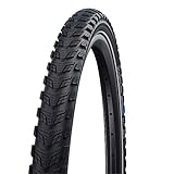 Schwalbe