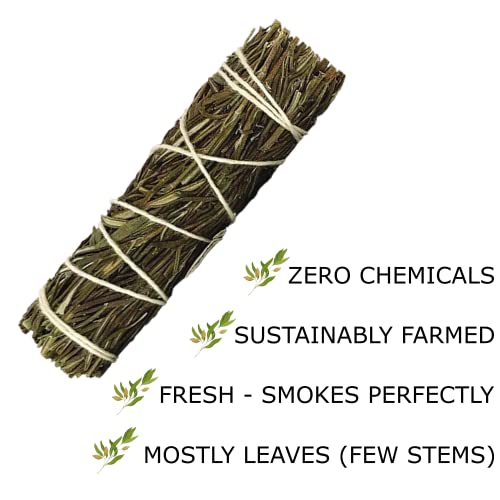 Sage Smudge Sticks Herbal Variety Pack (6 Pack) | White & Blue Sage, Lavender, Eucalyptus, Cedar, Rosemary, Yerba Santa Bundles | Burn For Cleansing Negative Energy, Smudging, Purification, Prosperity #TOP2