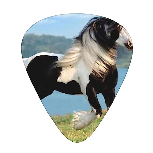 人種 ギターピック Guitar Pick 12枚セット ティアドロップ型 エレキギター/アコースティックギター/クラシックギター/ベース等の練習に最適な12枚セット
