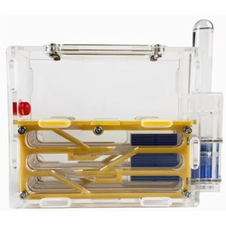 Ant Farm Acrylic Ant Castle Large Capacity Workshop Pet Nest Farm Science Learning Kit(Green)