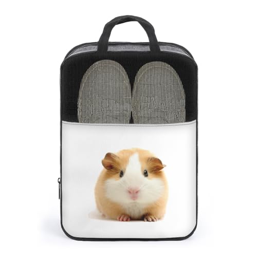 V[YP[X 킢 bg V[YobO V[Y|[` V[Y gx|[` C  V[Y o s y ^тɕ֗ [obO ւ jp AEghA o s v[g