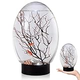Mini Fish Tank, Small Desktop Aquarium with Led Light, Self Sustaining Ecosystem, No Need to Feed Or Change Water Closed Aquatic Ecosystem for Home Office