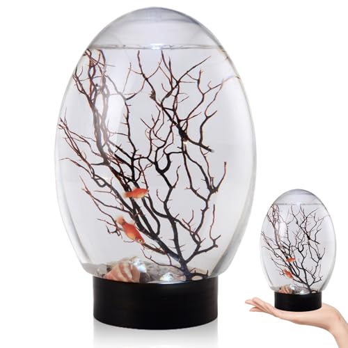 Mini Fish Tank, Small Desktop Aquarium with Led Light, Self Sustaining Ecosystem, No Need to Feed Or Change Water Closed Aquatic Ecosystem for Home Office