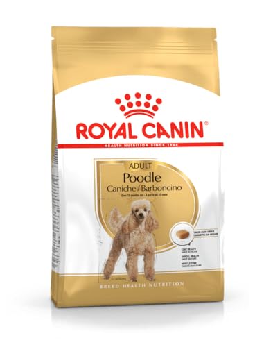Royal Canin Poodle Adult | 500 g | Alimento secco per Barboncini adulti | Per sostenere il pelo e il tono muscolare | Per cani a partire da 10 mesi di età