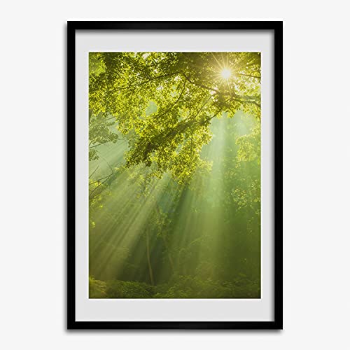 Tableau moderne soleil dans la forêt avec cadre photo bois MDF 50x70 cm Tulup