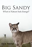 big sandy sandkasten wieviel sand  Big Sandy (English Edition)