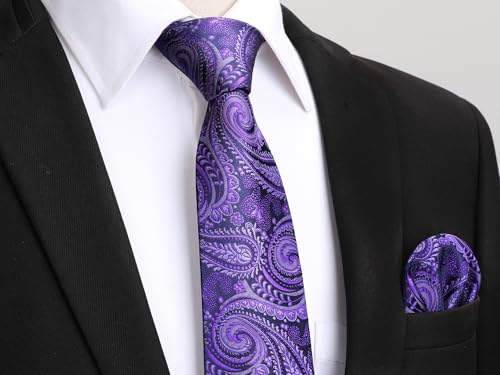 Image of HISDERN Ties for Men Paisley Tie and Pocket Square Woven Classic Floral Mens Ties Handkerchief Set Wedding Party Necktie