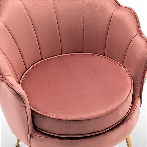 Velvetbarrelaccentchairwithscallopedsilhouetteandgoldmetallegsdecorativepiecesuitablefortraditionalmodernandcontemporaryspacesrose Urban Country Home Decor Velvet barrel accent chair with scalloped silhouette and gold metal legs decorative piece suitable for traditional modern and contemporary spaces rose urban country home decor