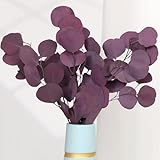 Jtoder Preserved Dried Eucalyptus Stems, Purple Eucalyptus Leaves, 4-10 Pcs Silver Dollar Leaves for Vase Filler, 14-17'' Dried Plants Garland for Wreath Wedding Home Farmhouse Party Decor