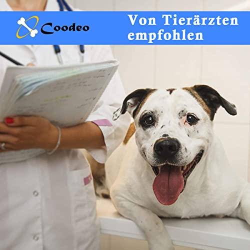 Coodeo Hundeliftgeschirr, Haustierunterstützung & Rehabilitation Sling Lift Verstellbare Gepolsterte atmungsaktive Gurte für Alt, Gelenkverletzungen, Arthritis, Stabilitätsverlust Hunde(Blau, L)