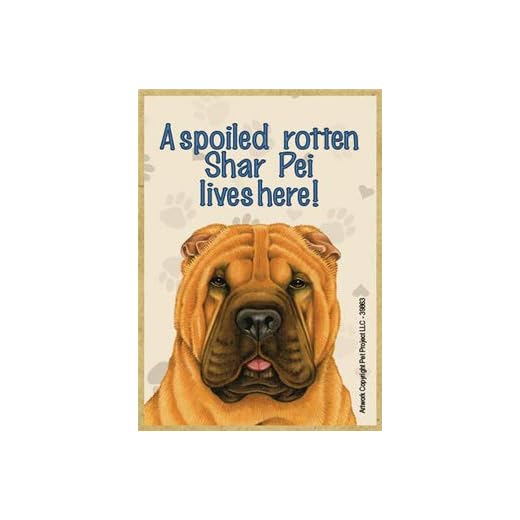 SJT ENTERPRISES, INC. A Spoiled Rotten Shar Pei Lives Here! - Wood Fridge Kitchen Dog Magnet - Artist Tomoyo Pitcher - Made in USA - Measures 2.5" x 3.5" (SJT39863)
