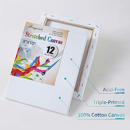 Canvas Boards for Painting 8x10, 8x10 Canvas Value Pack of 12 Blank Pre Stretched Canvases Panels 5/8”Thick 100% Cotton for Acrylics Oil Painting with 10pcs Brushes Set Art Paint Kits for Adults Kids