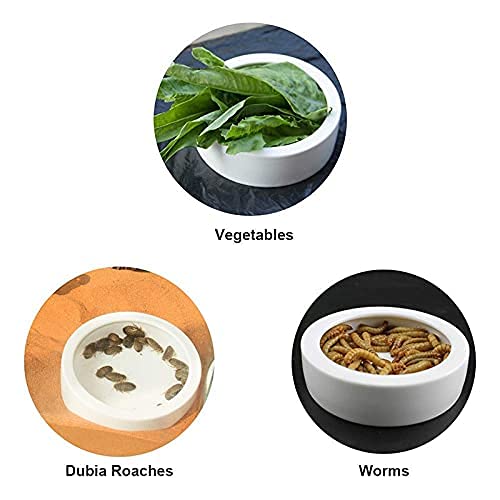RunXF Reptiles Bowl Ceramics Dish Round Feeder Anti-Escape Breadworm Plate with Deep Edge for Lizard Gecko Tortoise (S… - Image 5