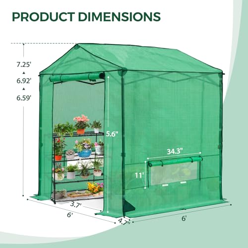 INTER HUT 6x6 Pop Up Greenhouse, Instant Walk in Green House with PE Cover, Power Ports, Roll up Doors & Windows for Indoor Outdoor Plant Growing, Green - Image 3