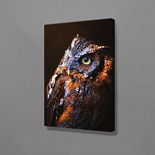 PLjVU Gufo Animale Tela Wall Art Decorazione Poster Soggiorno Stampe Stampe Decorazione Camera da Letto Famiglia Pittura-Senza telaio50x66cm