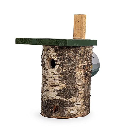 Nichoir en bois de bouleau 32 mm pour observer les mésanges