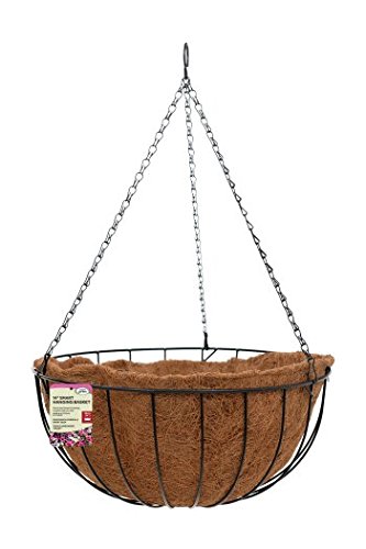 Smart Hanging Basket 35cm 14in by Smart Garden