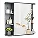 Pamapic Spiegelschränke fürs Bad, Badezimmerschrank mit Spiegel, Hängeschrank Badezimmer mit verstellbaren Ablagen, Schrank mit Badezimmerspiegel, Wandschrank,67,5 x 60 cm, Grau
