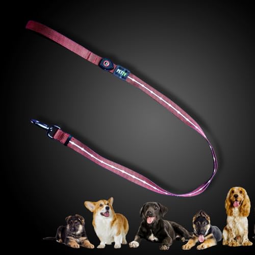 PettyItalia, Guinzaglio Luminoso a LED per Cani, 3 Modalità di Illuminazione, USB Ricaricabile e Impermeabile, per Cani di Taglia Media e Grande, Colore Rosso, Taglia M